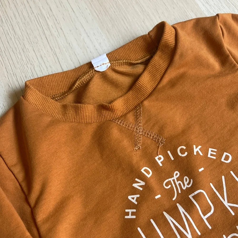 Size 24 month Pumpkin Patch Kids Rust Orange Crewneck Sweatshirt, Cotton Fall